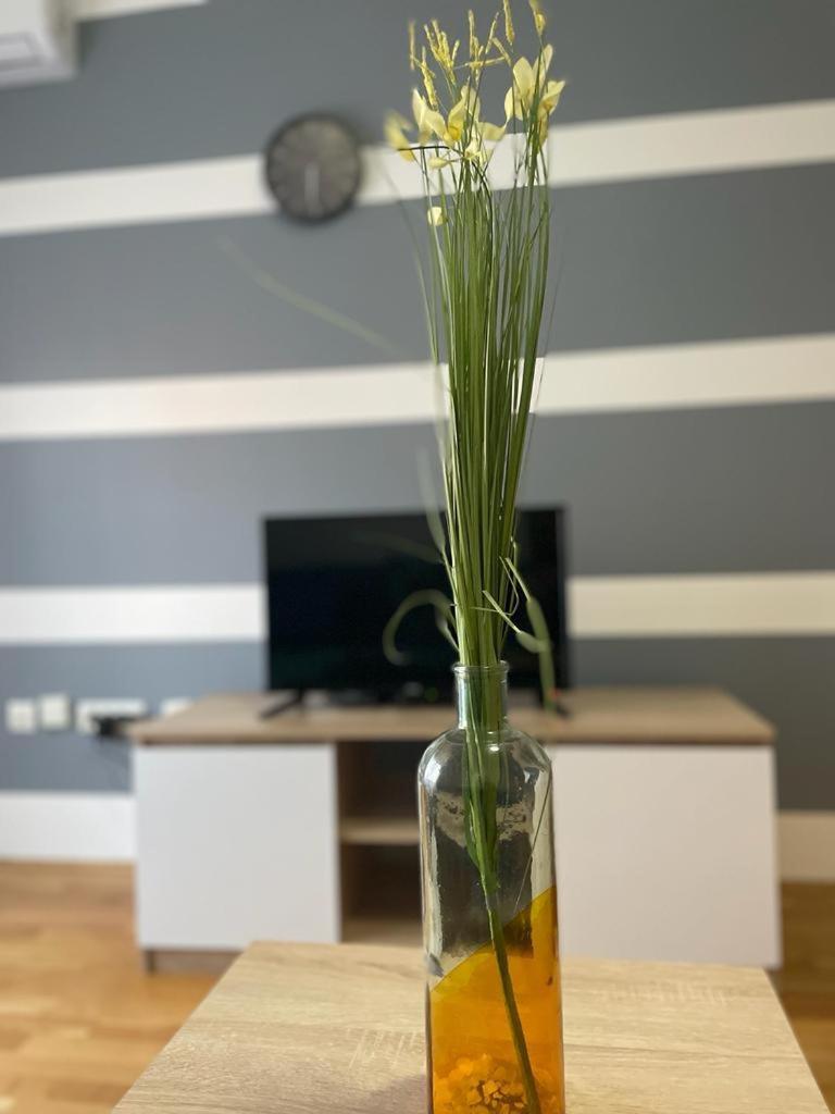 Naki Apartmani Podgorica Quarto foto